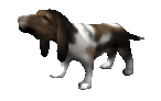 Dawg GIF