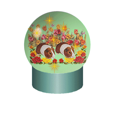 Pig Globe GIF