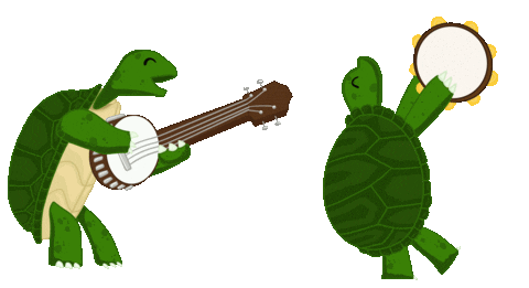 Terrapins GIF
