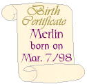 Merlin's Birth Certificate