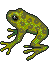Mudfrog