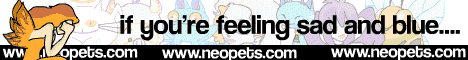 Neopets Banner