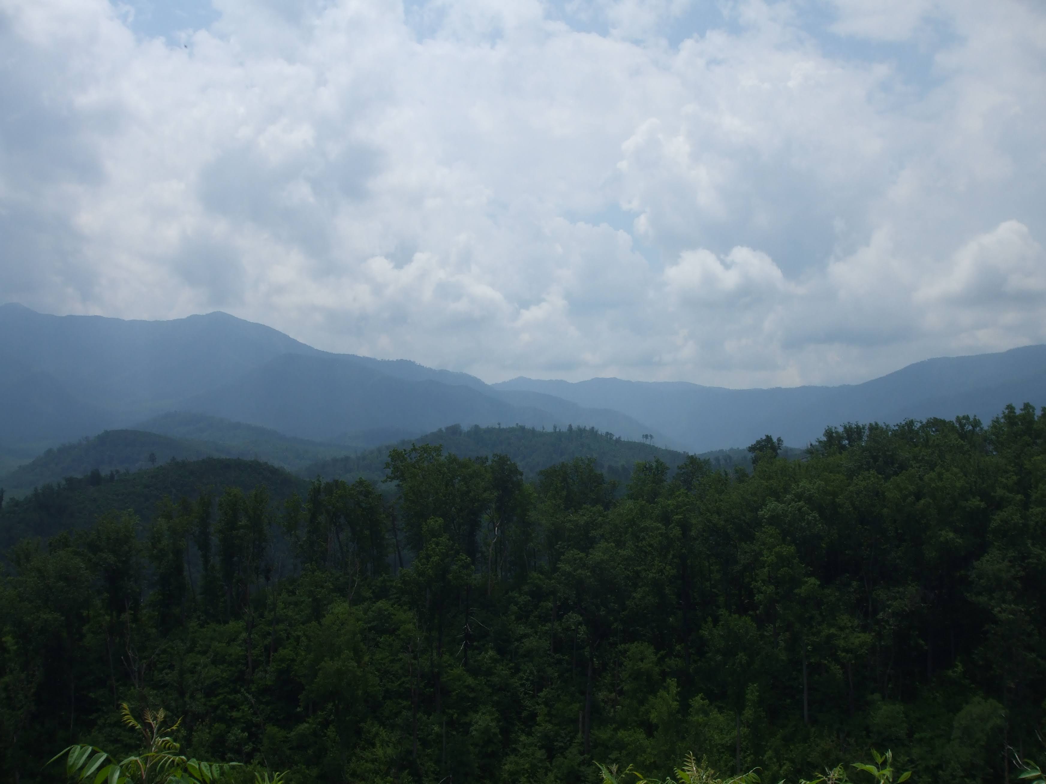 DSCF0526