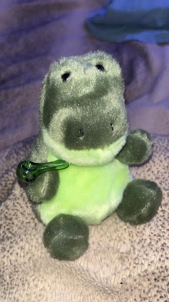 gator