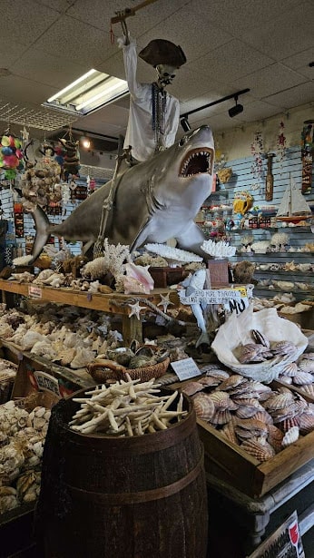 store